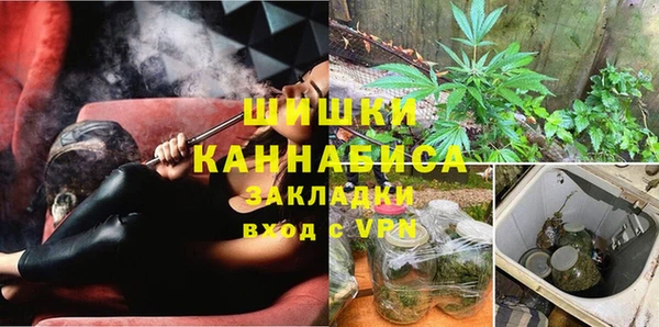 трава Сатка