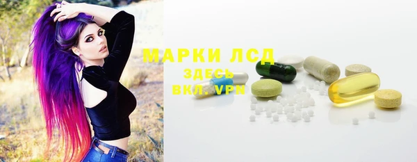 трава Сатка
