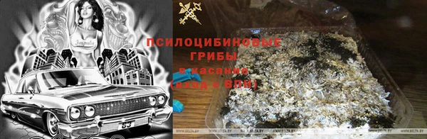 трава Сатка