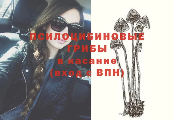 spice Беломорск