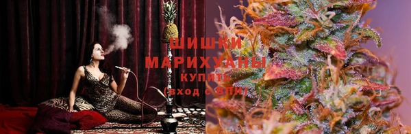 трава Сатка