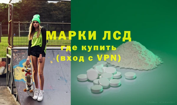 трава Сатка