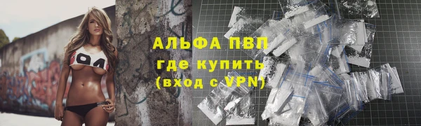 трава Сатка