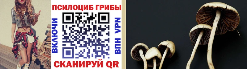 Галлюциногенные грибы прущие грибы Солигалич