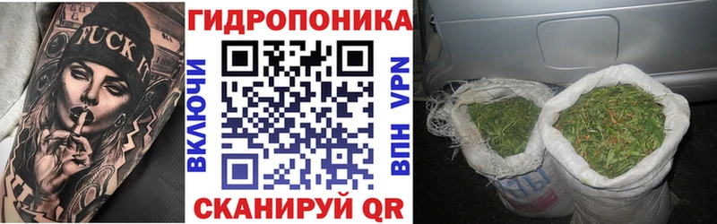 купить наркотики сайты  Солигалич  даркнет наркотические препараты  Каннабис марихуана 